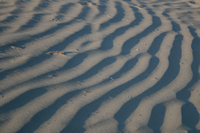 Death Valley NP
