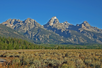 Grand Tetons NP 