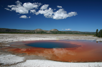 Yellowstone NP