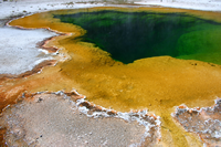 Yellowstone NP